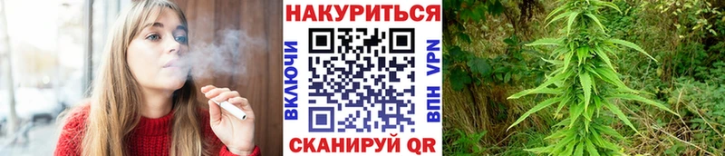 Где можно купить наркотики Щёкино АМФ Cocaine блэк спрут онион ГАШ Галлюциногенные грибы СОЛЬ Мефедрон