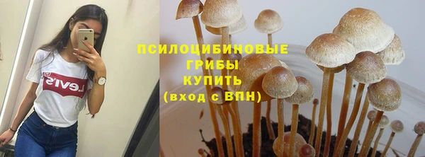 MESCALINE Лиски