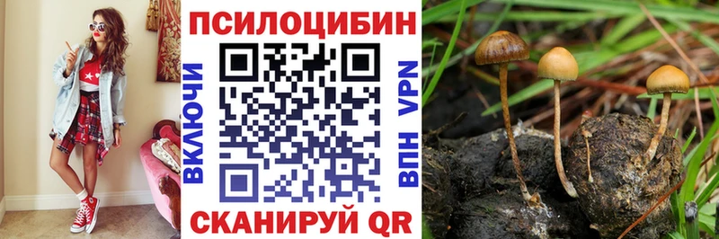 Галлюциногенные грибы мухоморы Щёкино